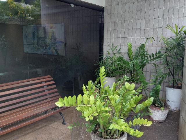 Apartamento para Venda em Recife/PE Rosarinho 3 Quartos