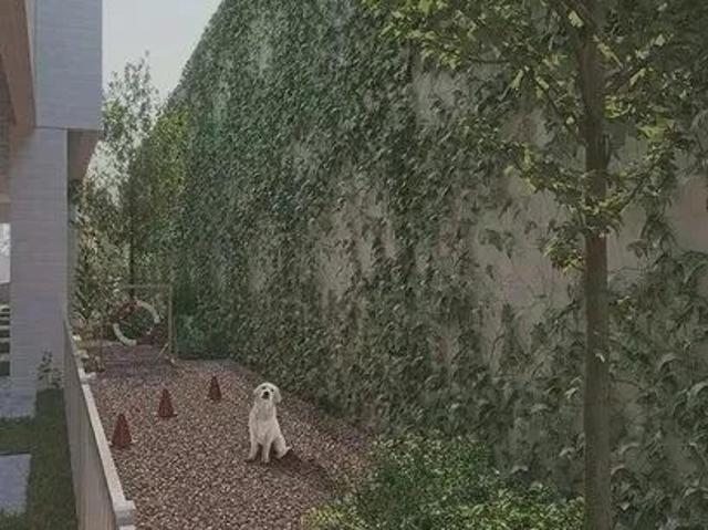 Apartamento para Venda em Recife/PE Rosarinho 3 Quartos