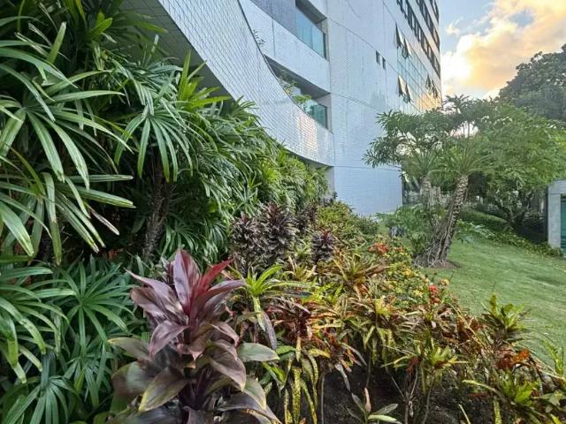 Apartamento para Venda em Recife/PE Santo Amaro 4 Quartos