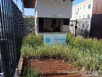 Apartamento para Venda em Ribeirão Preto/SP Jardim Itaú 2 Quartos
