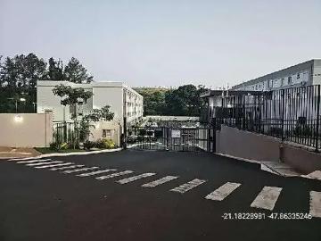 Apartamento para Venda em Ribeirão Preto/SP Jardim Itaú 2 Quartos