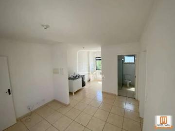Apartamento para Venda em Ribeirão Preto/SP Jardim José Sampaio Júnior 2 Quartos