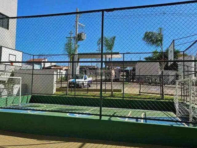 Apartamento para Venda em Ribeirão Preto/SP Sumarezinho 3 Quartos