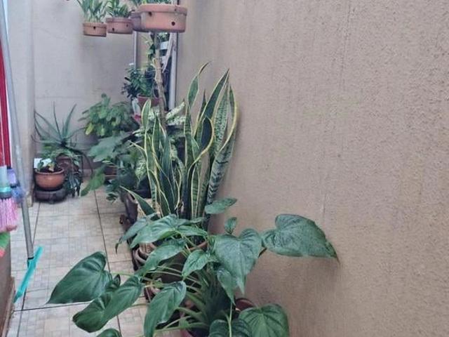 Apartamento para Venda em Ribeirão Preto/SP Planalto Verde 2 Quartos