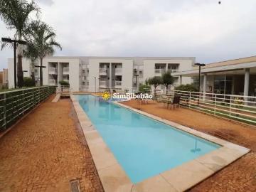 Jardim Califórnia, Ribeirão Preto, Ribeirão Preto, São Paulo