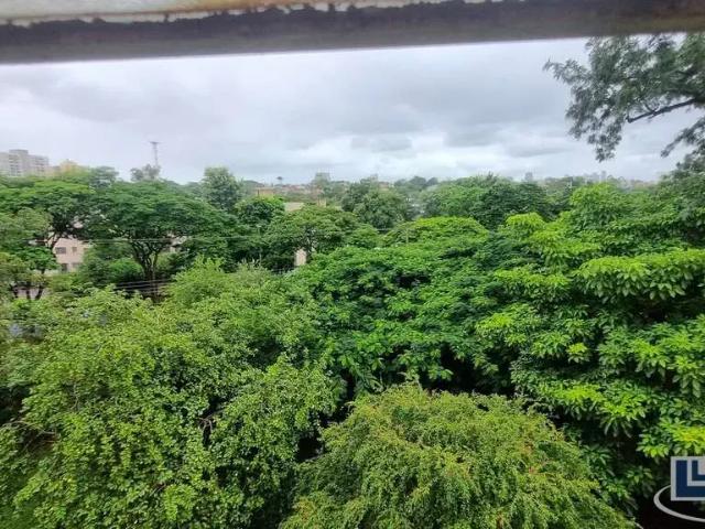 Apartamento para Venda em Ribeirão Preto/SP Vila Virgínia 2 Quartos