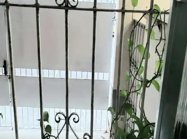 Apartamento para Venda em Rio de Janeiro/RJ Andaraí 2 Quartos