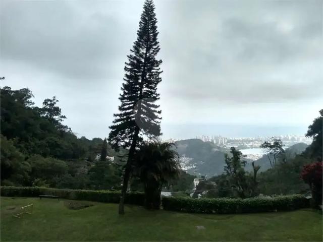 Apartamento para Venda em Rio de Janeiro/RJ Alto da Boa Vista 3 Quartos