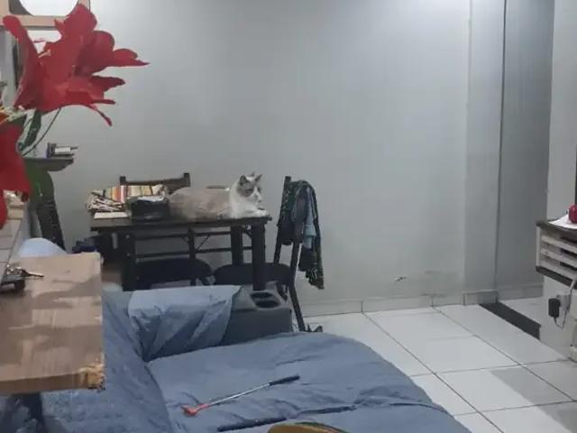Apartamento para Venda em Rio de Janeiro/RJ Realengo 2 Quartos
