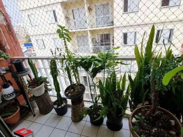 Apartamento para Venda em São Bernardo do Campo/SP Baeta Neves 3 Quartos
