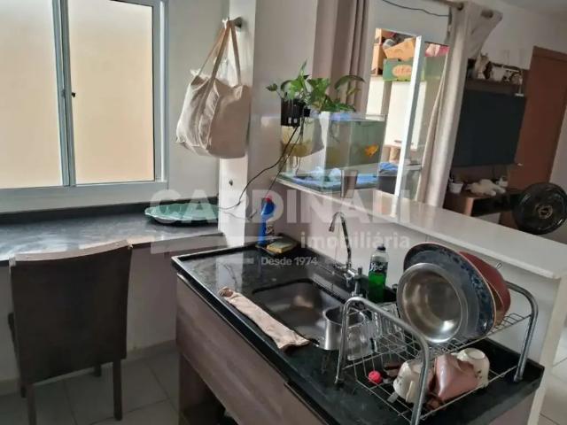 Apartamento para Venda em São Carlos/SP Vila Boa Vista 1 2 Quartos