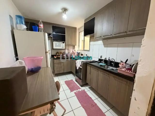 Apartamento para Venda em São Carlos/SP Jardim Nova São Carlos 2 Quartos