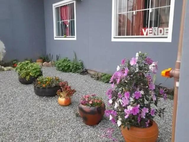Apartamento para Venda em São Francisco do Sul/SC Ubatuba 3 Quartos