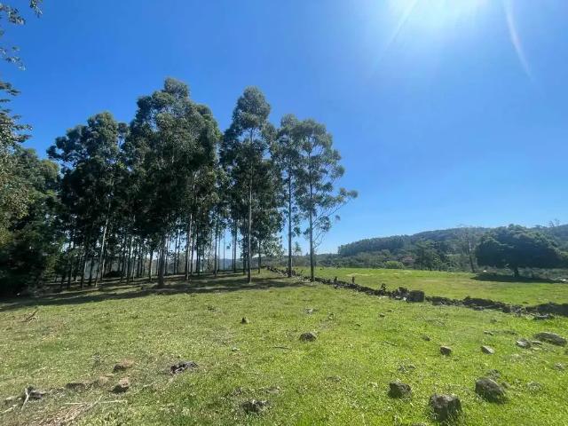 Apartamento para Venda em São Francisco de Paula/RS Centro