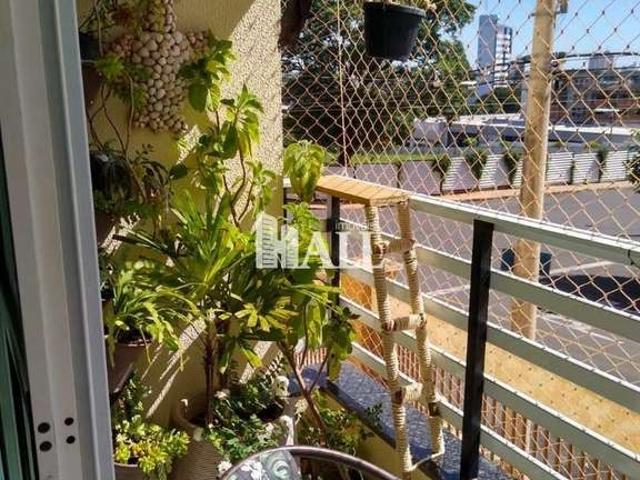Apartamento para Venda em São José do Rio Preto/SP Cidade Nova 3 Quartos