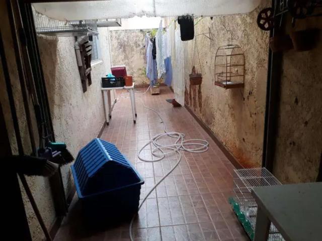 Apartamento para Venda em São José do Rio Preto/SP Jardim Herculano 3 Quartos