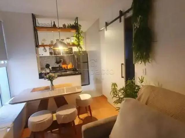 Apartamento para Venda em São José do Rio Preto/SP Jardim Marajó 2 Quartos