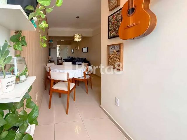 Apartamento para Venda em São José do Rio Preto/SP Parque Estoril 3 Quartos