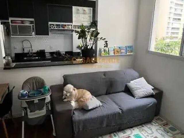 Apartamento para Venda em São José dos Campos/SP Jardim das Indústrias 2 Quartos