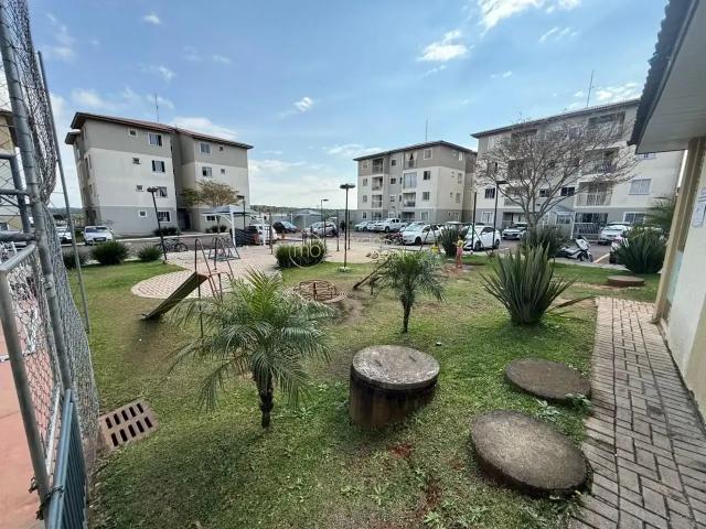 Apartamento para Venda em São José dos Pinhais/PR Colônia Rio Grande 2 Quartos