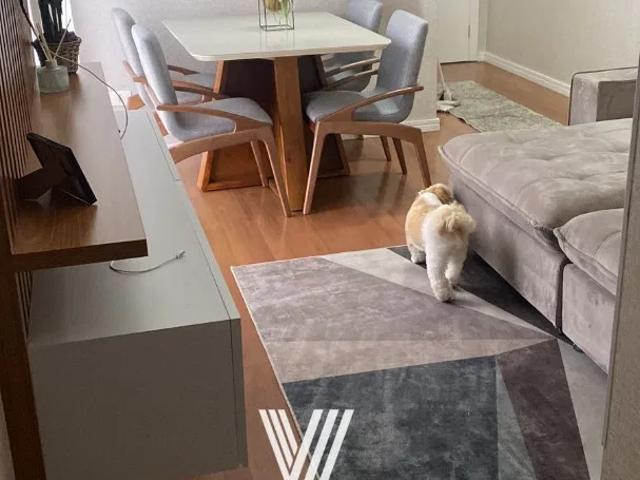 Apartamento para Venda em São José dos Pinhais/PR Boneca do Iguaçu 3 Quartos