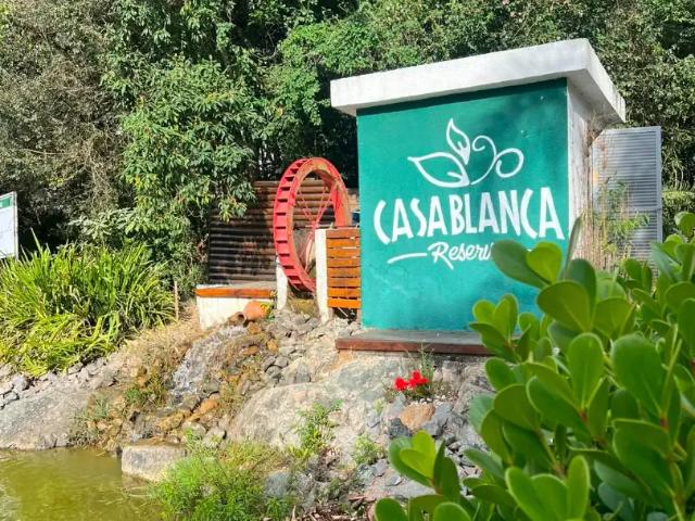 Apartamento para Venda em São José dos Pinhais/PR Santo Antônio 2 Quartos