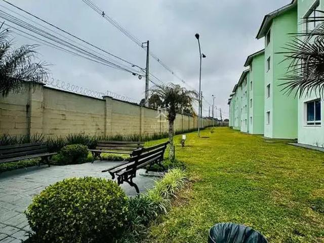 Apartamento para Venda em São José dos Pinhais/PR Rio Pequeno 2 Quartos