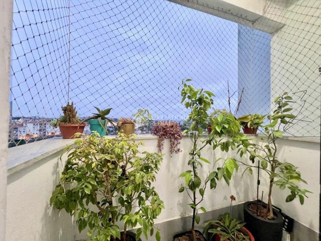Apartamento para Venda em São José/SC Campinas 2 Quartos
