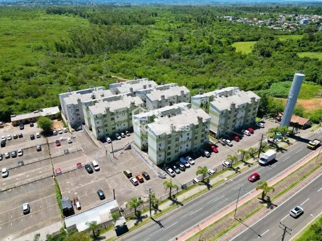 Apartamento para Venda em São Leopoldo/RS Pinheiro 2 Quartos