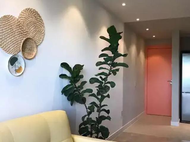 Apartamento para Venda em São Luís/MA Calhau 2 Quartos