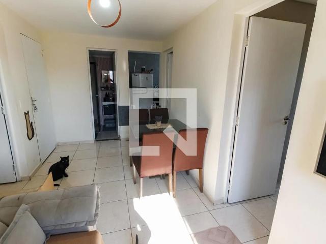 Apartamento para Venda em São Paulo/SP Morumbi 3 Quartos