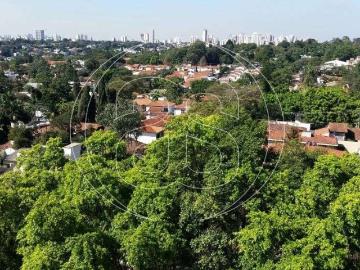 Apartamento para Venda em São Paulo/SP Alto da Boa Vista 3 Quartos