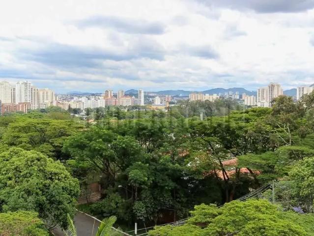 Apartamento para Venda em São Paulo/SP Alto da Lapa 3 Quartos