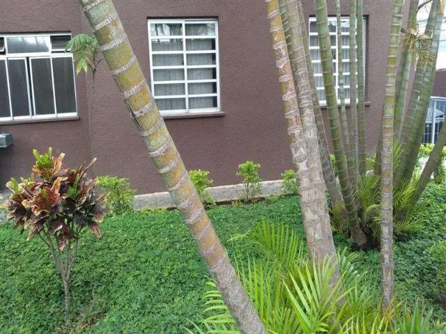 Apartamento para Venda em São Paulo/SP Belenzinho 2 Quartos
