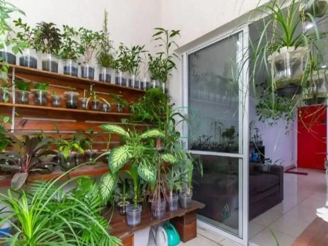 Apartamento para Venda em São Paulo/SP Bom Retiro 2 Quartos