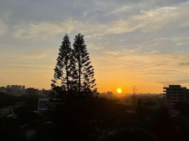 Apartamento para Venda em São Paulo/SP Brooklin 3 Quartos