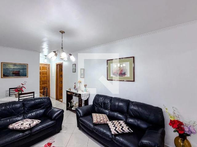 Apartamento para Venda em São Paulo/SP Cambuci 3 Quartos