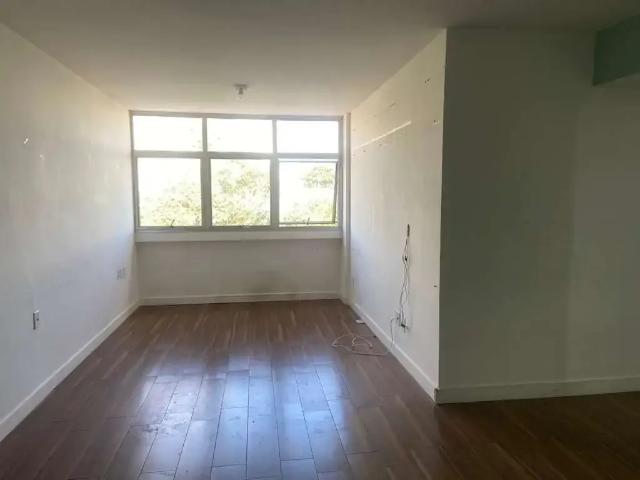 Apartamento para Venda em São Paulo/SP Cambuci 3 Quartos