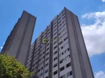 Apartamento para Venda em São Paulo/SP Cambuci 3 Quartos