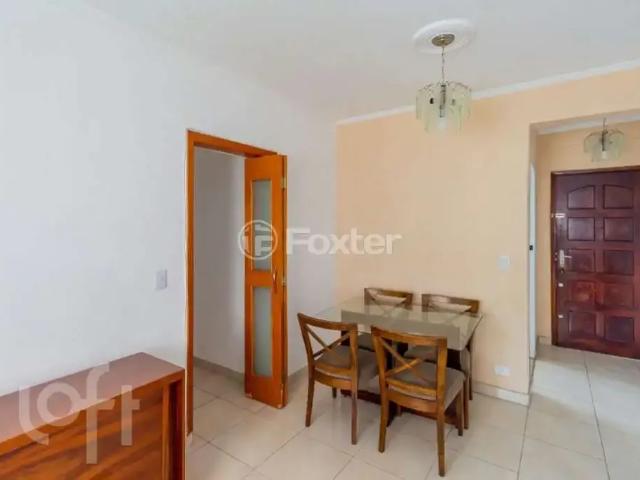 Apartamento para Venda em São Paulo/SP Cambuci 3 Quartos