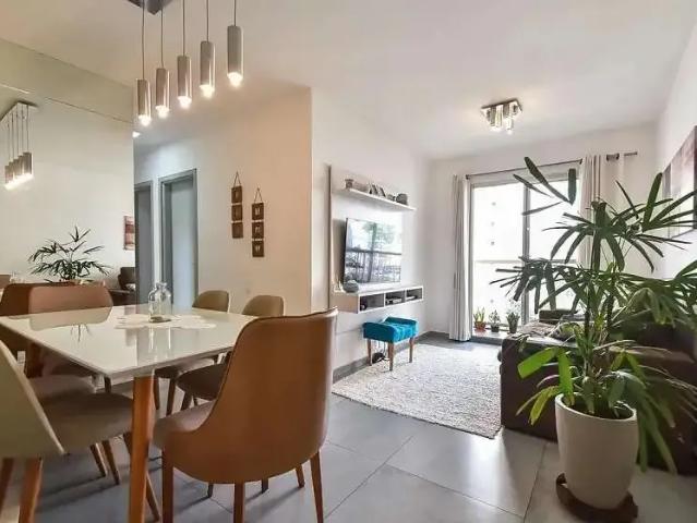 Apartamento para Venda em São Paulo/SP Cambuci 3 Quartos
