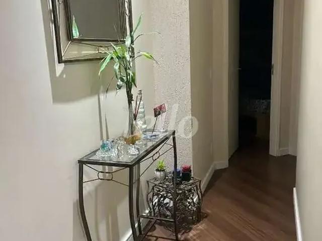 Apartamento para Venda em São Paulo/SP Cambuci 3 Quartos