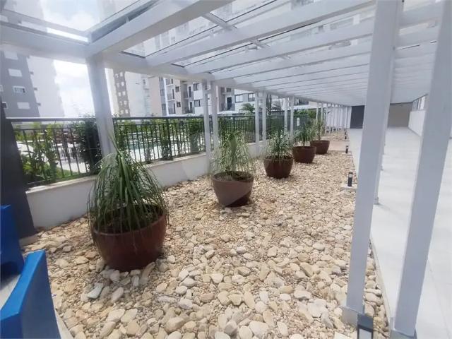 Apartamento para Venda em São Paulo/SP Campo Grande 3 Quartos