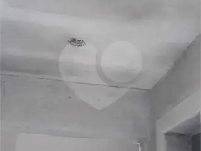 Apartamento para Venda em São Paulo/SP Casa Verde 1 Quartos