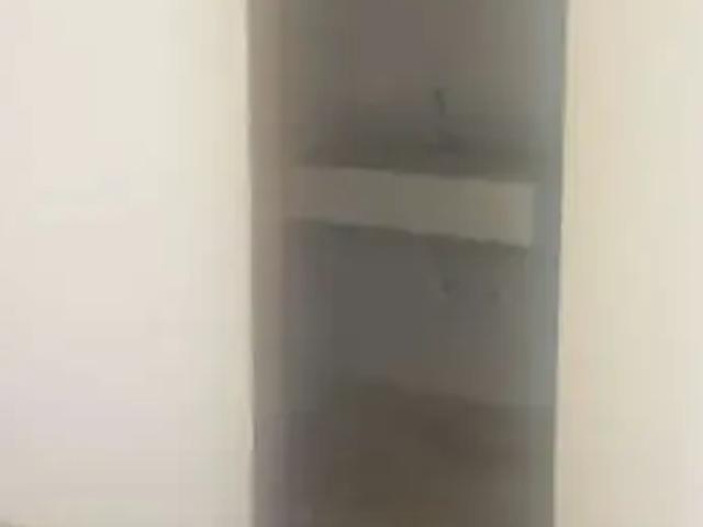 Apartamento para Venda em São Paulo/SP Cidade Patriarca 3 Quartos