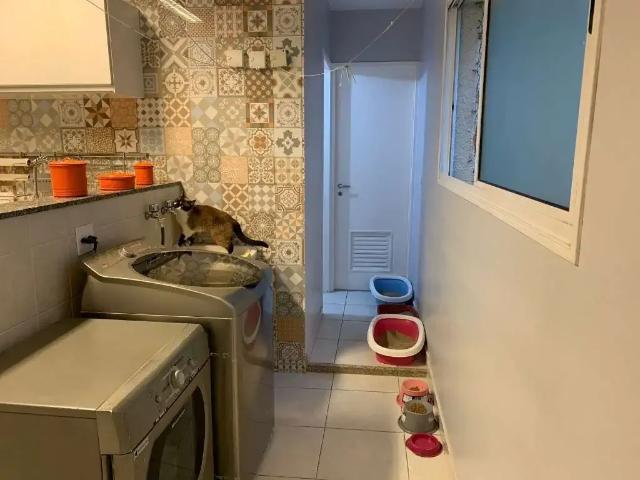 Apartamento para Venda em São Paulo/SP Cidade São Francisco 3 Quartos