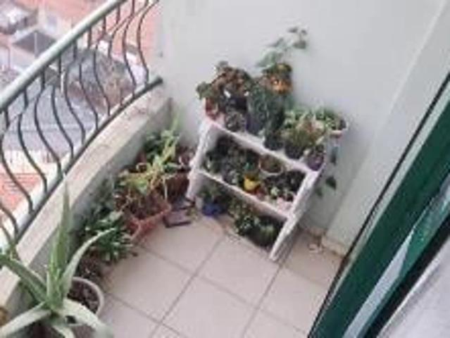 Apartamento para Venda em São Paulo/SP Interlagos 3 Quartos