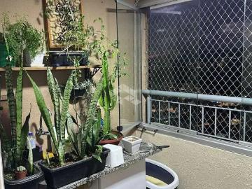 Rua Aparecida Teodoro de Carvalho, Parque Vitória, São Paulo, São Paulo, São Paulo