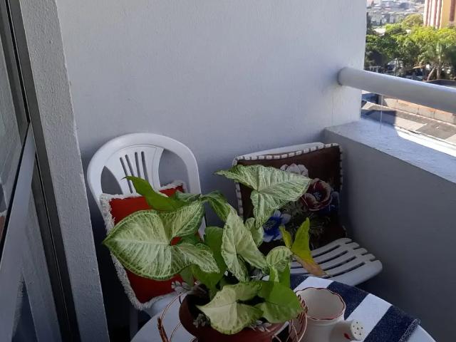 Apartamento para Venda em São Paulo/SP Jardim Vergueiro Sacomã 3 Quartos