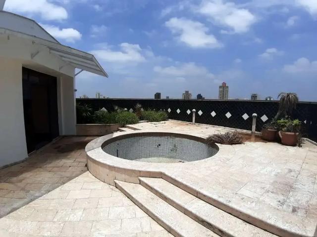 Apartamento para Venda em São Paulo/SP Jardim Avelino 3 Quartos